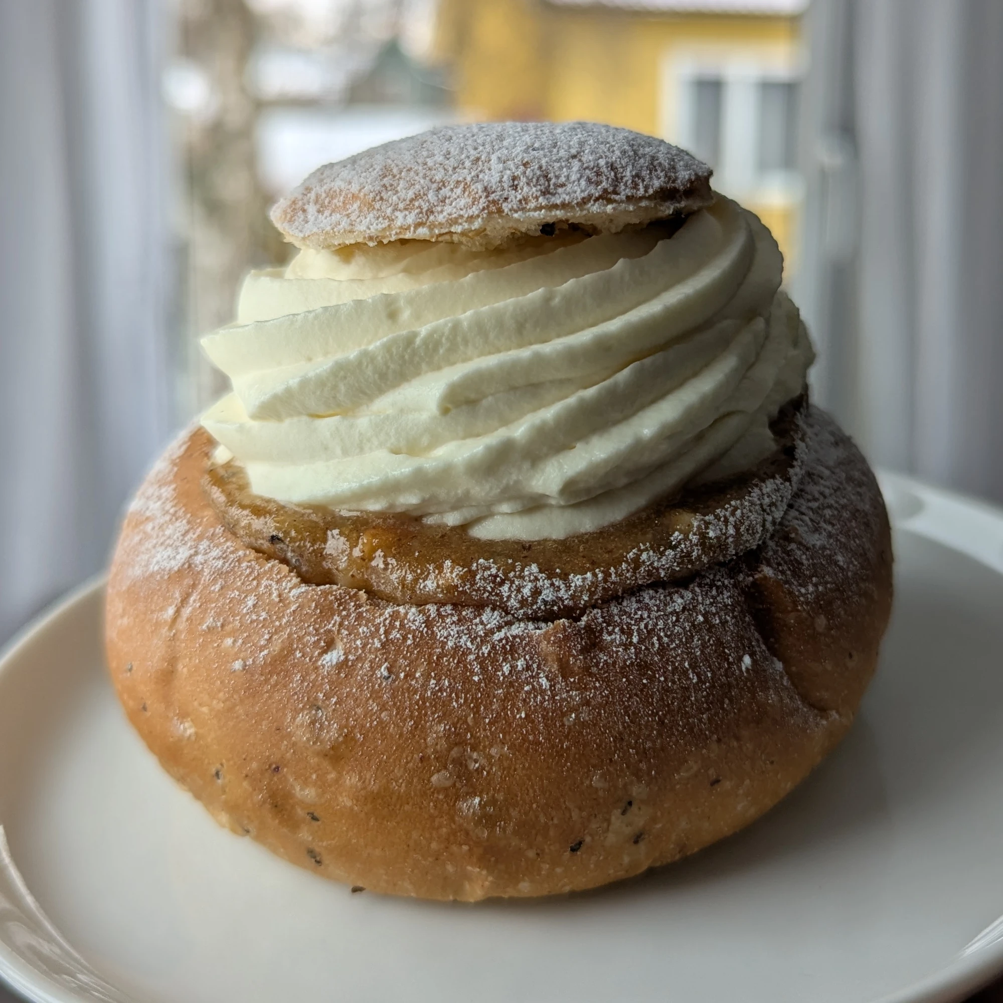 A golden brown semla bun that is broad and sat on a white ceramic plate being held up in natural light. The almond paste is a caramel brown and shining in the light. The swirl of cream winds up anti-clockwise towards the round lid. The semla narrows in stages, with a broad bun, paste and cream about three quarters as wide with the neatly trimmed round lid half the width of the bun.