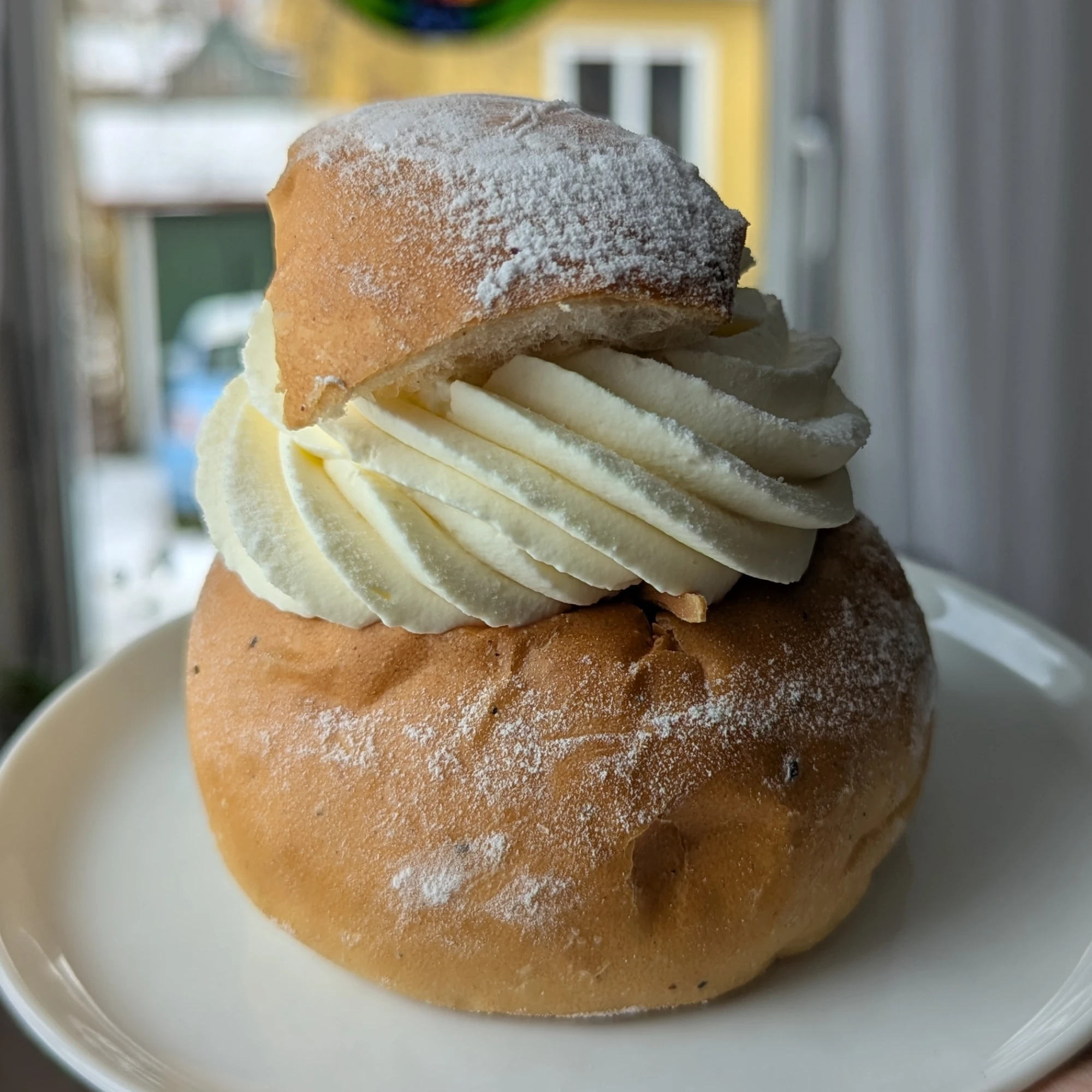 A golden brown semla bun. There is a dent at the front where it has been held by a finger. No almond paste is visible, but a single slither of almond can be seen peeking out from under the cream. The swirl of cream is very well defined and swirling clockwise. The cream has a dusting of icing sugar as wlll as the triangular lid. Some of the icing sugar has fallen on the sides of the bun too. The semla is sat on a white circular plate and held up in natural light.
